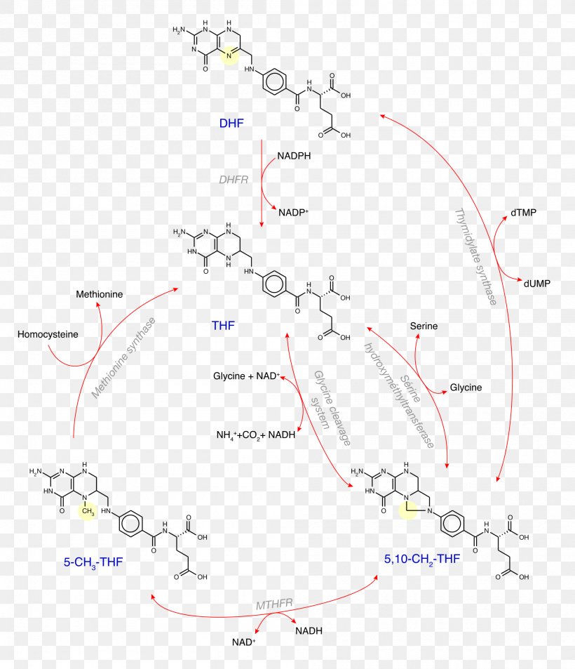 Line Point Angle Map Sky Plc, PNG, 2000x2325px, Point, Area, Diagram, Map, Sky Download Free