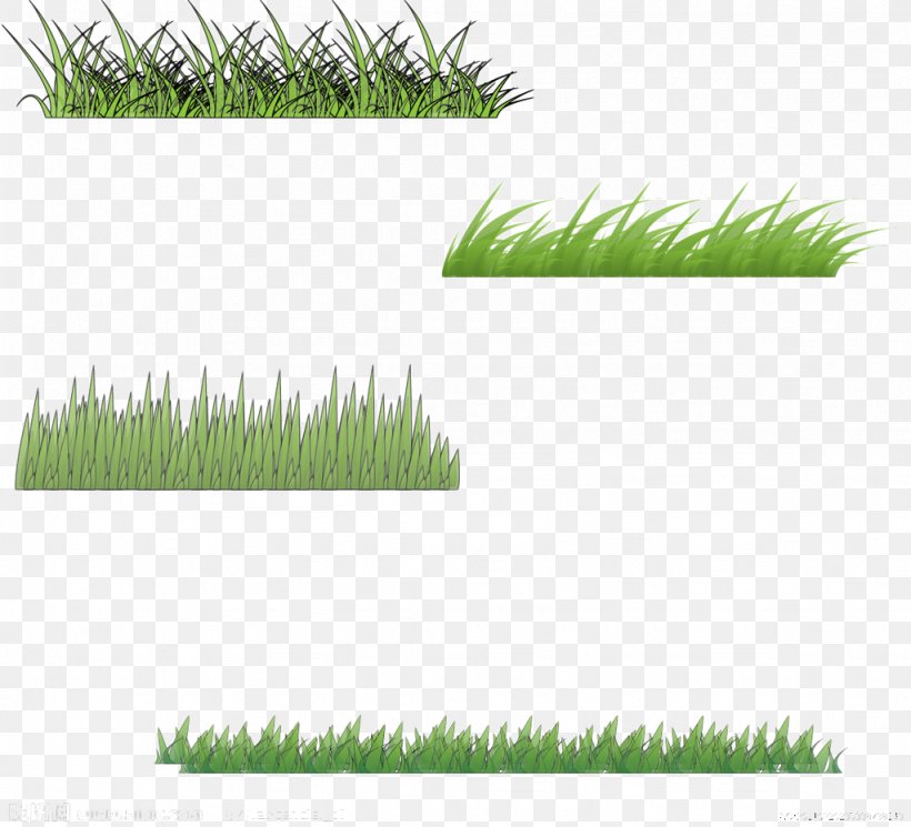 Motif Euclidean Vector, PNG, 1024x931px, Motif, Art, Grass, Grass Family, Grassland Download Free