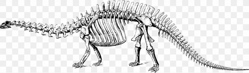 Brontosaurus Apatosaurus Tyrannosaurus Diplodocus Stegosaurus, PNG, 2576x758px, Brontosaurus, Animal Figure, Apatosaurus, Black And White, Bone Download Free