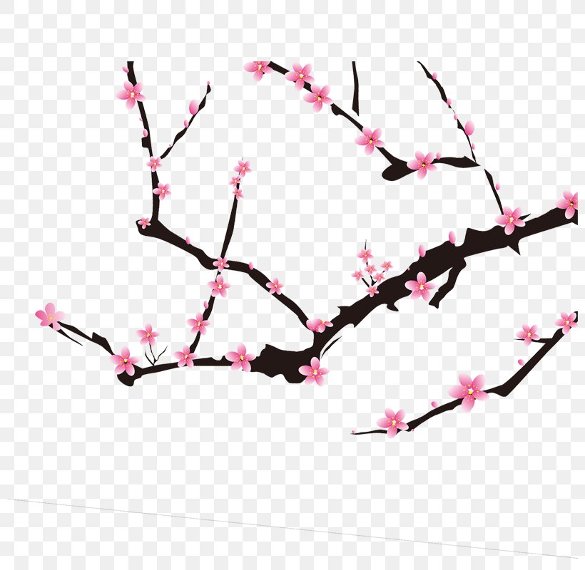Download Icon, PNG, 800x800px, Computer Graphics, Blossom, Branch, Cherry Blossom, Flower Download Free