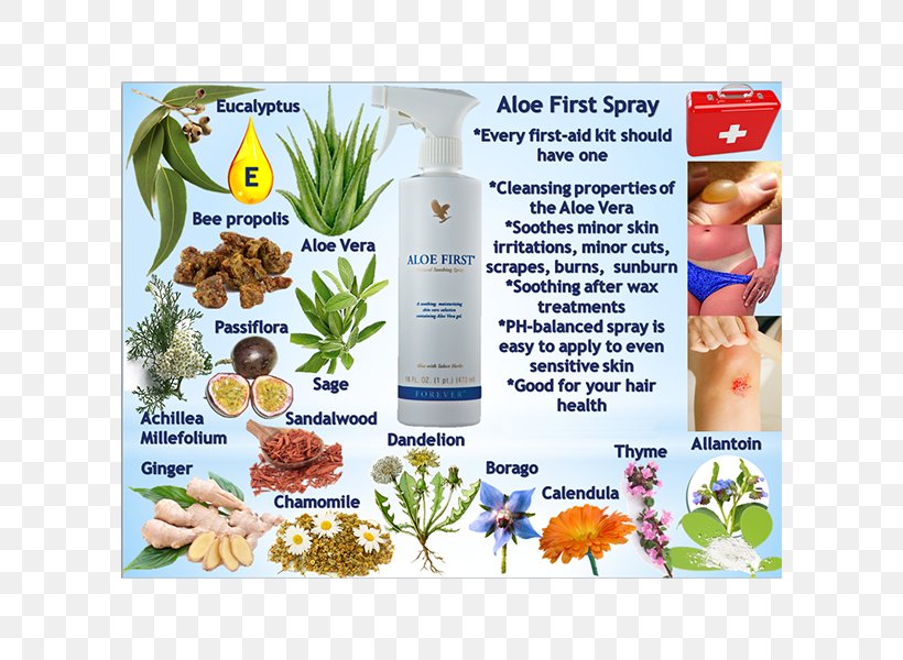 Aloe Vera Forever Living Products Ltd Bee Propolis, PNG, 600x600px, Aloe Vera, Aloes, Bee, Crude Drug, Forever Living Products Download Free