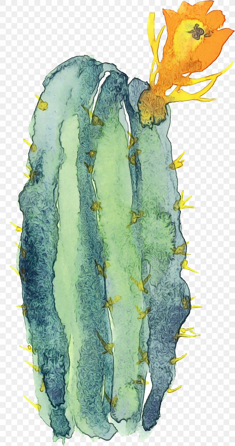 Cactus, PNG, 1293x2450px, Watercolor, Cactus, Flower, Paint, Plant Download Free