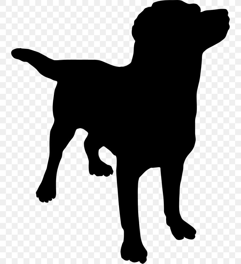 Labrador Retriever Puppy Curtain Clip Art, PNG, 744x900px, Labrador Retriever, Aging In Dogs, Black, Black And White, Carnivoran Download Free