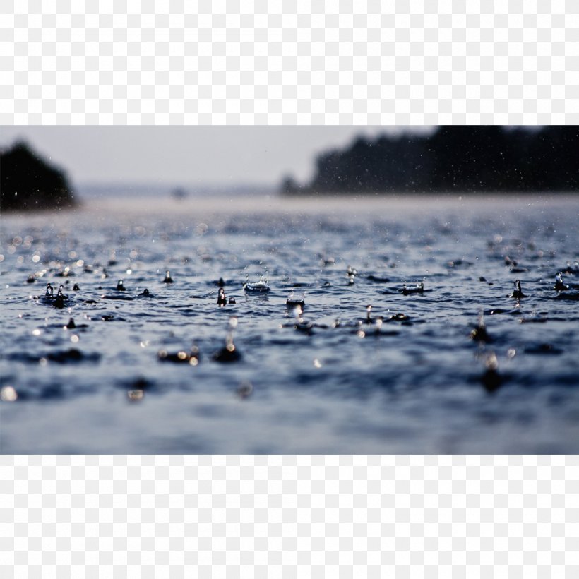 Rain Desktop Wallpaper Weather Wet Season, PNG, 1000x1000px, Rain, Calm, Com, Dew, Display Resolution Download Free