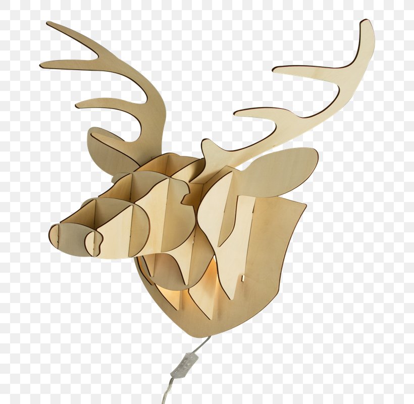 Reindeer Antler Product Design, PNG, 800x800px, Reindeer, Antler, Deer, Horn Download Free