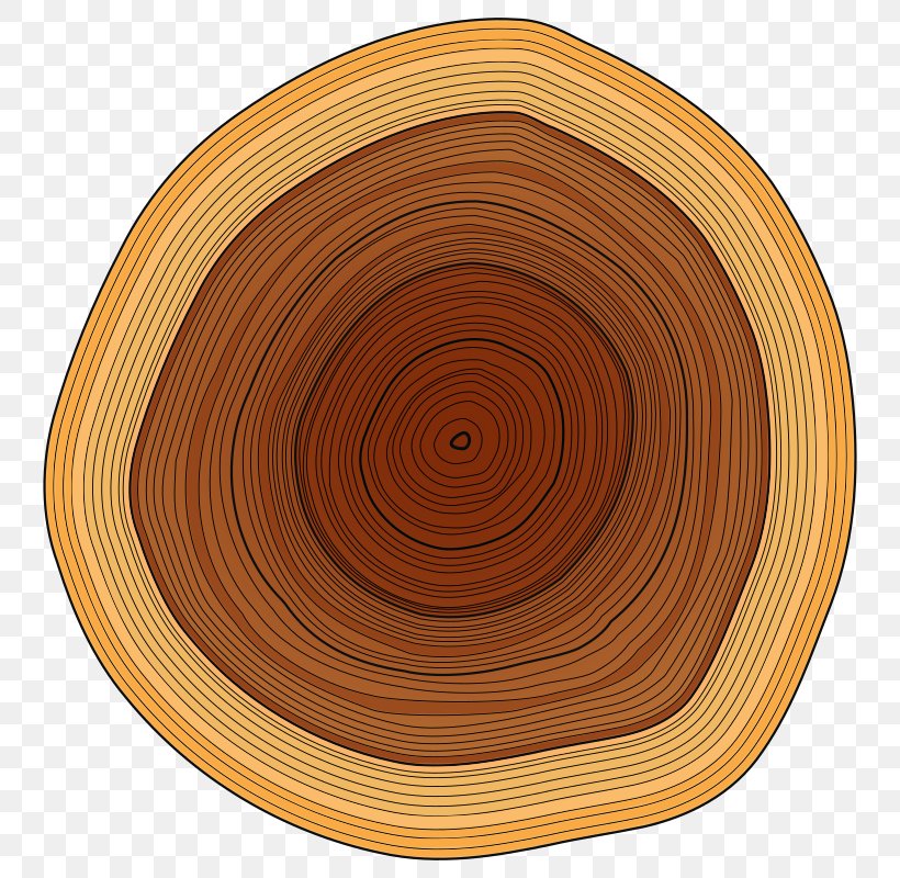 Wood Lumberjack Tree Stump Clip Art, PNG, 800x800px, Wood, Dishware, Firewood, Log Cabin, Logging Truck Download Free