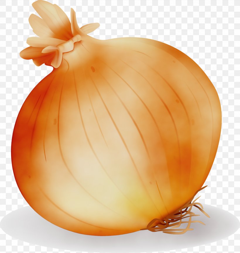 Yellow Onion Onion Vegetable Food Allium, PNG, 2842x3000px, Watercolor, Allium, Amaryllis Family, Food, Onion Download Free