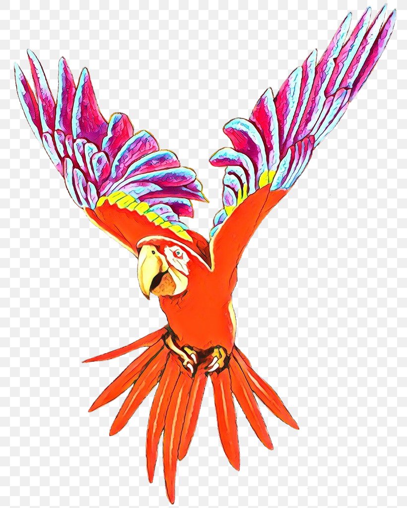 Budgerigar Bird Macaw Cockatiel Fly: Parrot, PNG, 782x1024px, Budgerigar, Accipitridae, Accipitriformes, Beak, Bird Download Free