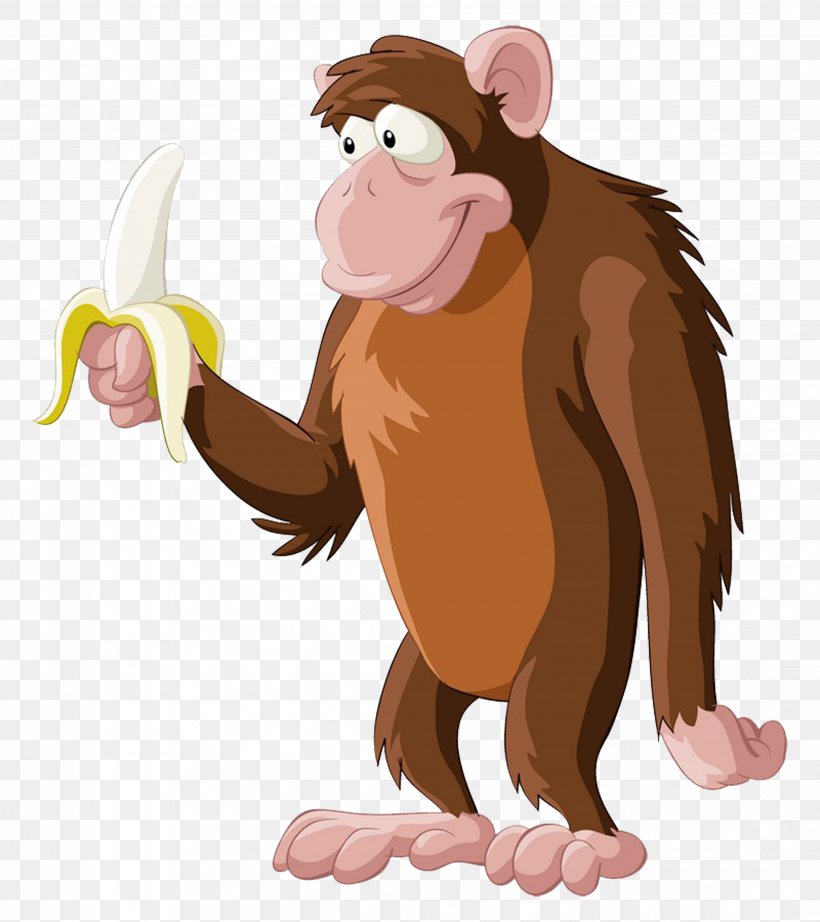 Chimpanzee Primate Monkey Banana, PNG, 4444x5000px, Chimpanzee, Banana, Carnivoran, Cartoon, Colourbox Download Free