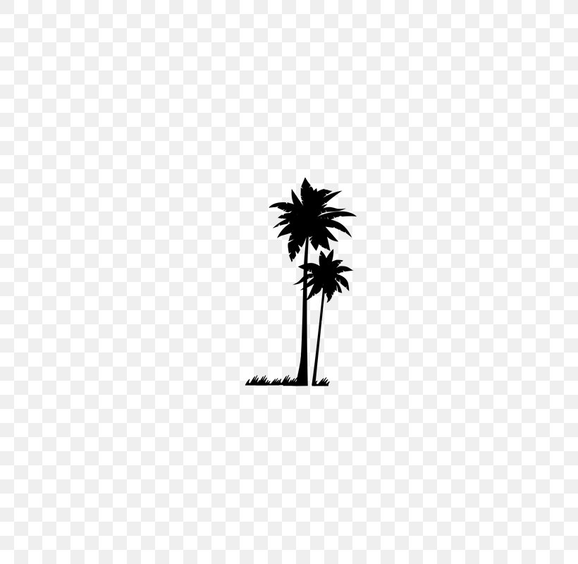 Asian Palmyra Palm Arecaceae Desktop Wallpaper Silhouette, PNG, 800x800px, Asian Palmyra Palm, Arecaceae, Arecales, Black, Black And White Download Free