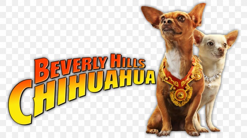 Beverly Hills Chihuahua Beverly Hills Chihuahua Film Soundtrack, PNG, 1000x562px, Watercolor, Cartoon, Flower, Frame, Heart Download Free