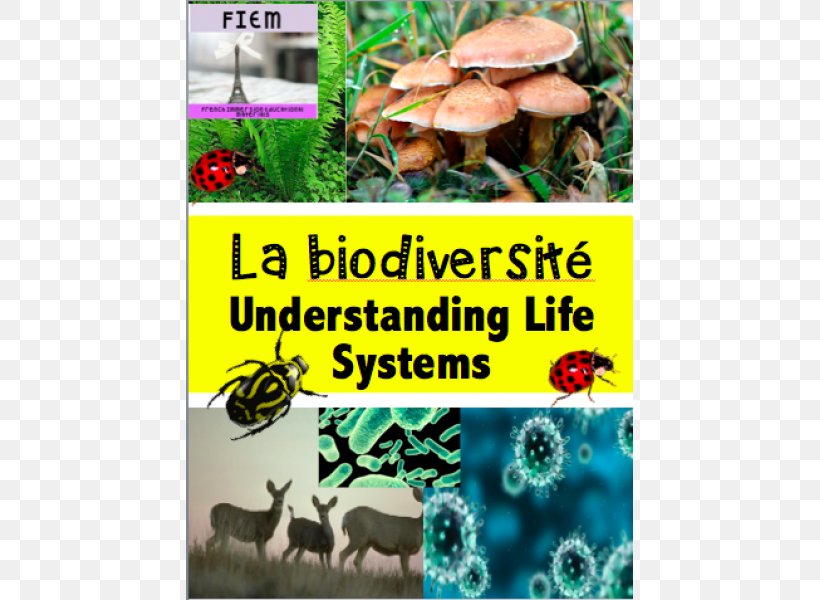 Education Biology Student Biodiversity Sixth Grade, PNG, 600x600px, Education, Advertising, Biodiversity, Biology, Ecosystem Download Free