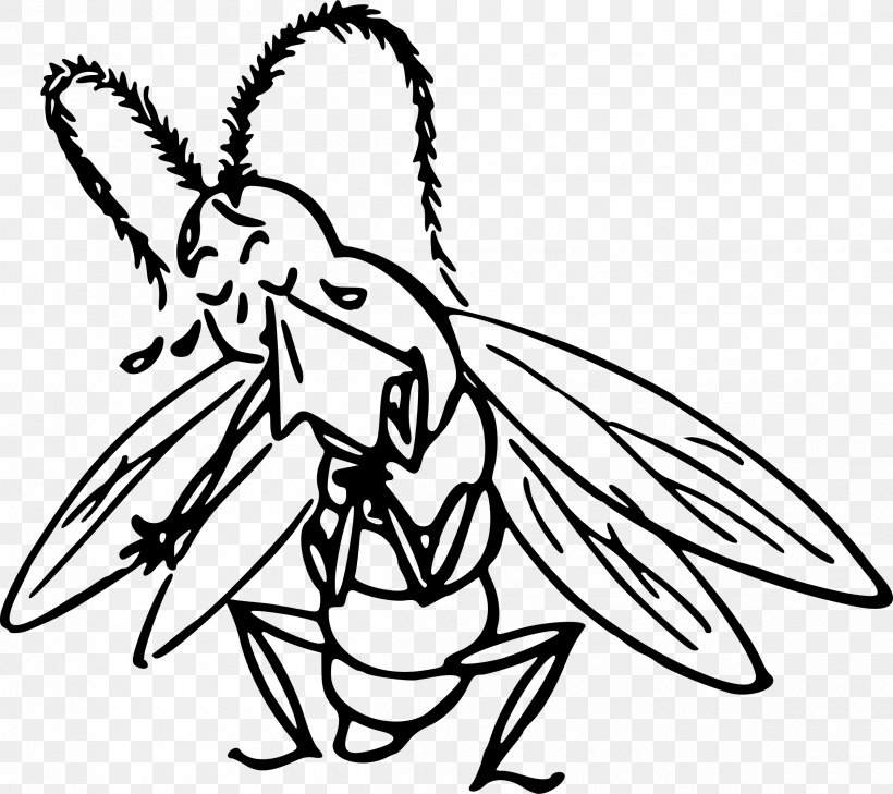 Insect Cartoon Drawing Clip Art, PNG, 2400x2134px, Insect, Animal, Animation, Art, Artwork Download Free