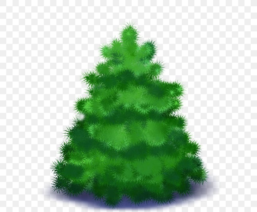 Spruce New Year Tree Christmas Day, PNG, 606x676px, Spruce, American Larch, Balsam Fir, Christmas Day, Christmas Decoration Download Free