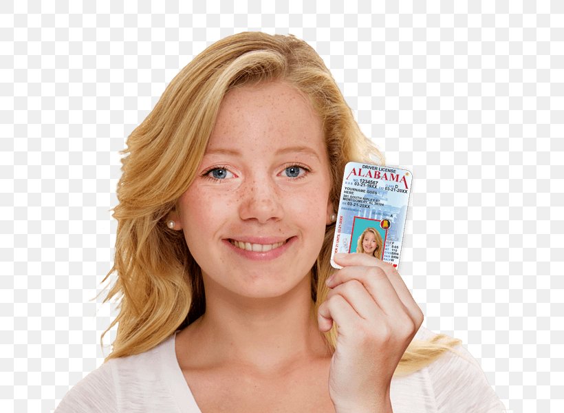 Alabama Driver's License Driving Learner's Permit, PNG, 673x600px, Alabama, Cheek, Chin, Department Of Motor Vehicles, Drivers Education Download Free