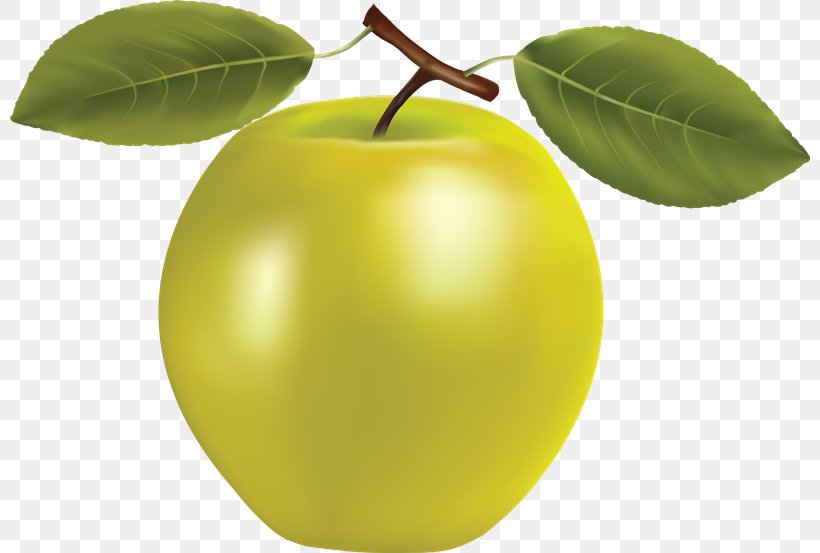 Apple Clip Art Image Vector Graphics, PNG, 800x553px, Apple, Apples, Citrus, Food, Fruit Download Free