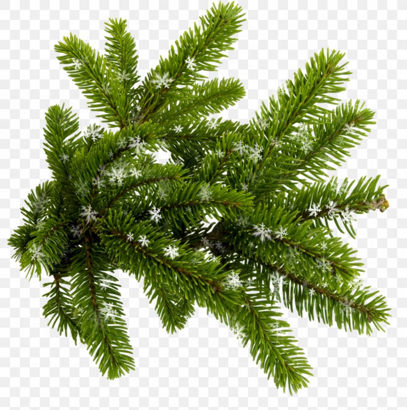 Blue Spruce Conifers New Year Tree Clip Art, PNG, 1270x1280px, Blue Spruce, Albom, Biome, Branch, Christmas Download Free