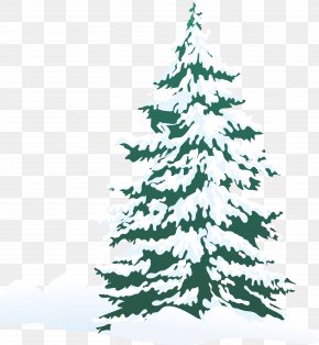 Pine Tree Winter Clip Art, PNG, 5822x8000px, Pine, Branch, Christmas ...