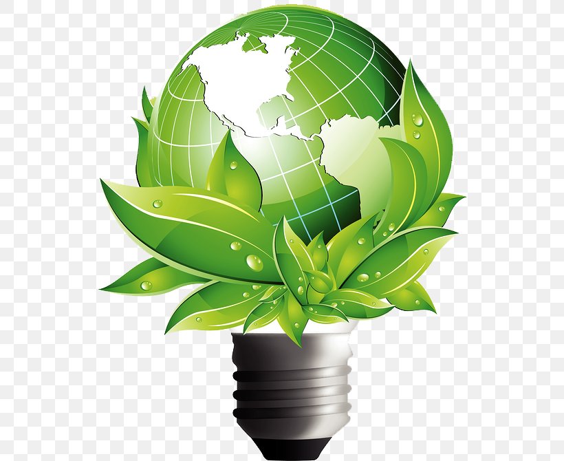 Globe World Energy Business, PNG, 549x670px, Globe, Advertising, Business, Energy, Flora Download Free