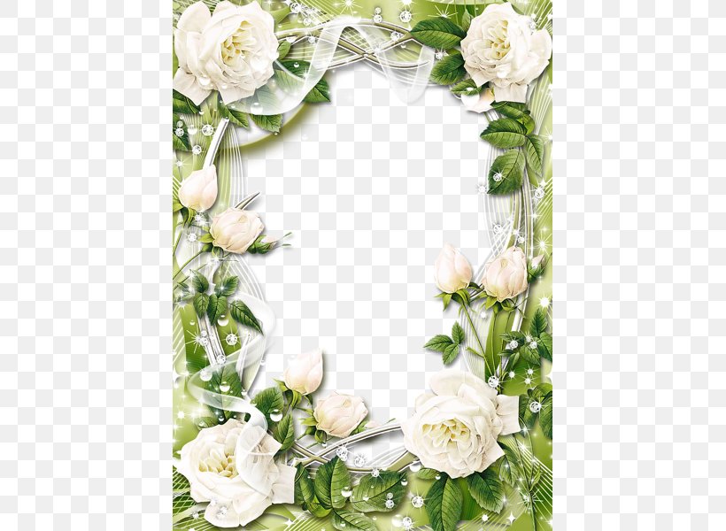 Picture Frame Rose White Clip Art, PNG, 429x600px, Picture Frame, Application Software, Color, Cut Flowers, Decor Download Free