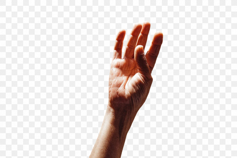 Sign Language Hand Model Joint Language Hand, PNG, 1200x800px, Sign Language, Biology, Hand, Hand Model, Hm Download Free