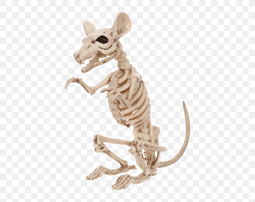 Rat Human Skeleton Rodent Bone, PNG, 473x650px, Rat, Animal, Animal Figure, Bone, Bonez Download Free