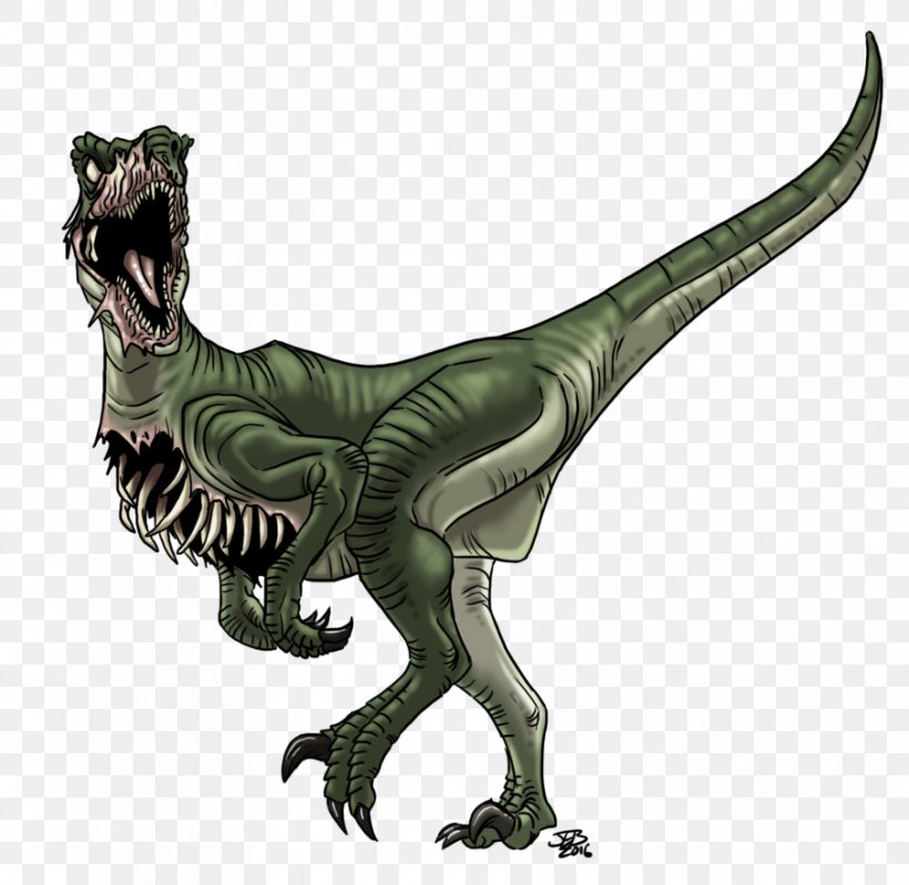 Velociraptor Tyrannosaurus Deinonychus Triceratops Dinosaur, PNG, 905x882px, Watercolor, Cartoon, Flower, Frame, Heart Download Free
