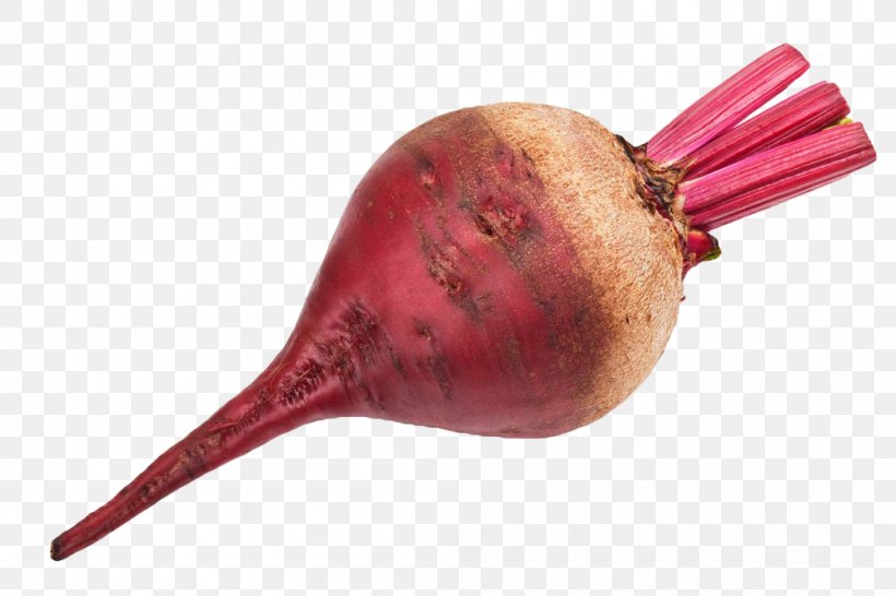 Beetroot Chard Vegetable Tomato Stock Photography, PNG, 1000x666px, Sugar Beet, Beet, Beetroot, Chard, Common Beet Download Free