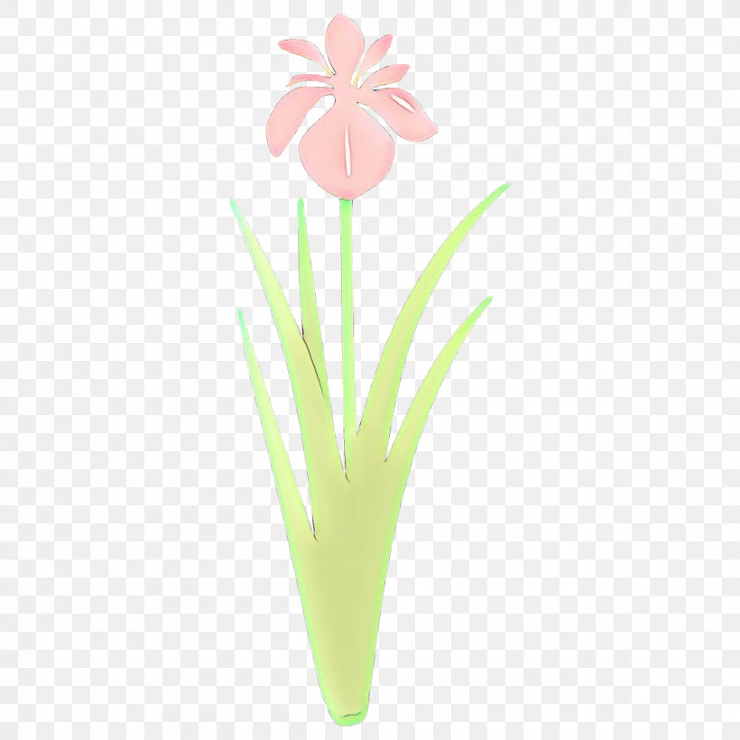 Flower Plant Petal Cut Flowers Pedicel, PNG, 1200x1200px, Flower, Cut Flowers, Flowerpot, Iris, Pedicel Download Free