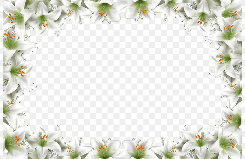 Picture Frame Animation Collage Clip Art, PNG, 800x533px, Picture Frame, Animation, Ansichtkaart, Collage, Floral Design Download Free