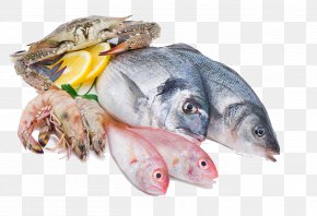 Seafood - Squid As Food Fish Seafood Meat PNG