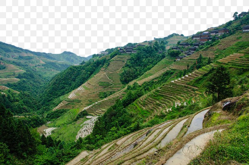 Mount Scenery Terrace Arable Land, PNG, 1024x680px, Mount Scenery, Agriculture, Arable Land, Escarpment, Field Download Free
