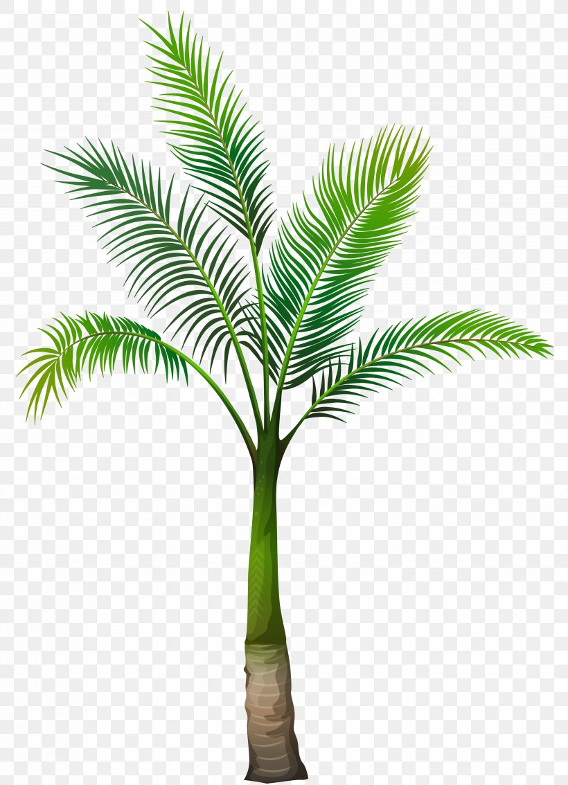 Palm Trees Clip Art, PNG, 3714x5140px, Arecaceae, Arecales, Coconut, Date Palm, Flowerpot Download Free