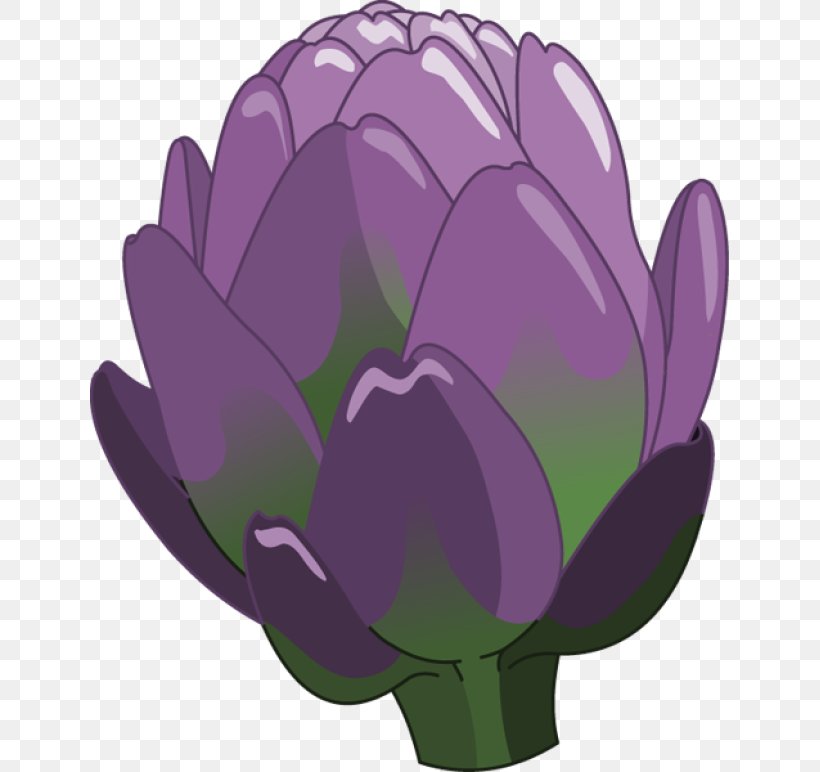 Artichoke Vegetable Fruit Clip Art, PNG, 639x772px, Artichoke, Copyright, Flower, Flowering Plant, Food Download Free