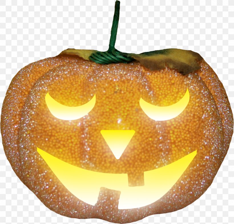 Jack-o'-lantern Pumpkin Halloween Winter Squash, PNG, 1433x1373px, Pumpkin, Blog, Calabaza, Cucurbita, Email Download Free