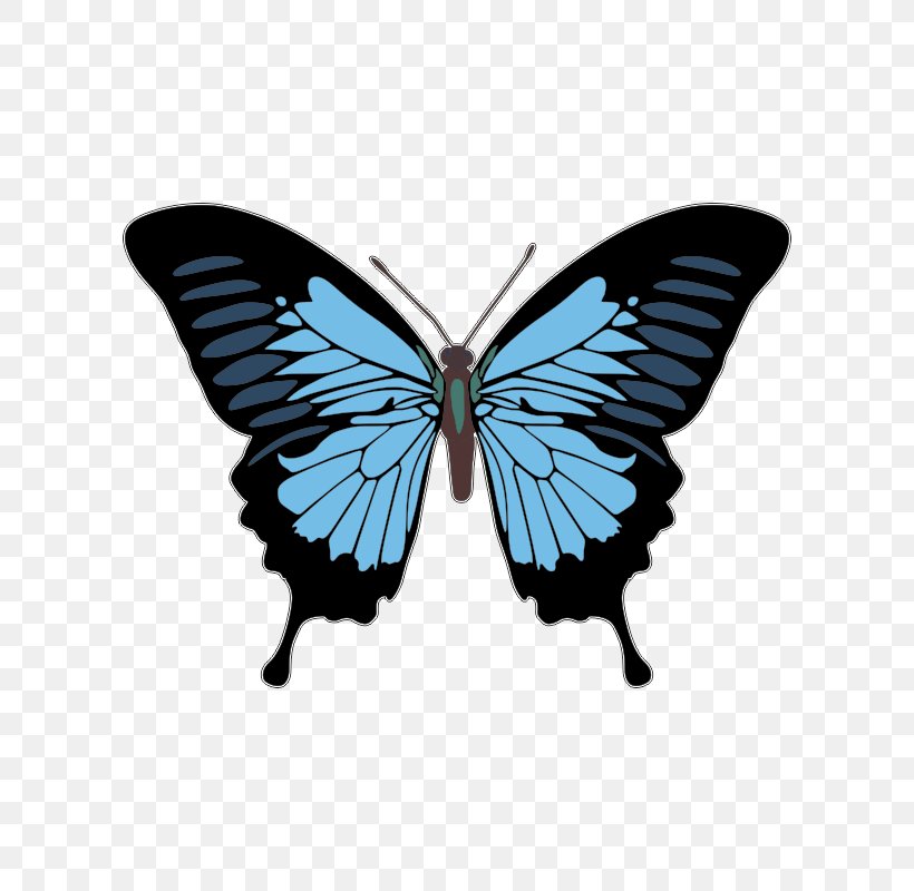 Lower-back Tattoo Butterfly Design Fairy T-Shirt, PNG, 800x800px, Tattoo, Arthropod, Brushfooted Butterfly, Butterfly, Girly Girl Download Free