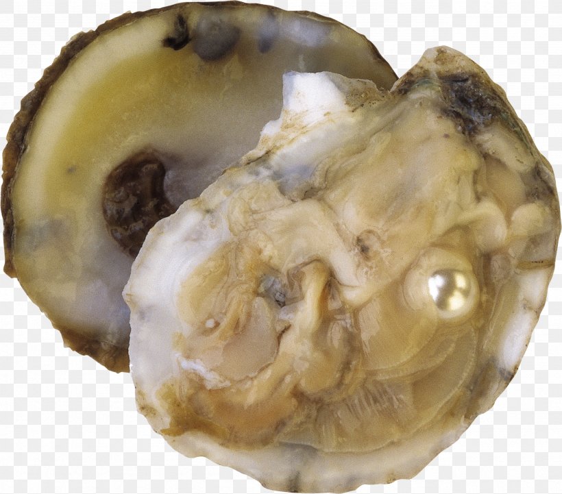 Oyster Clam Molluscs Pearl Seashell, PNG, 2567x2259px, Oyster, Animal Source Foods, Clam, Clams Oysters Mussels And Scallops, Food Download Free