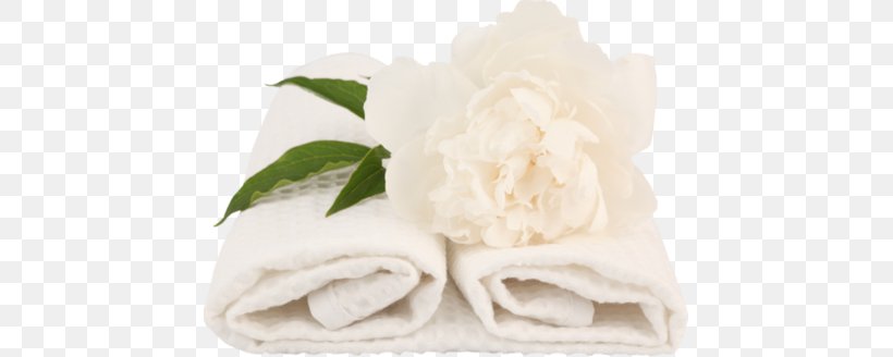 Banya Towel Laundry Washing Hotel, PNG, 445x328px, Banya, Ayurveda, Bathroom, Cellulite, Cut Flowers Download Free
