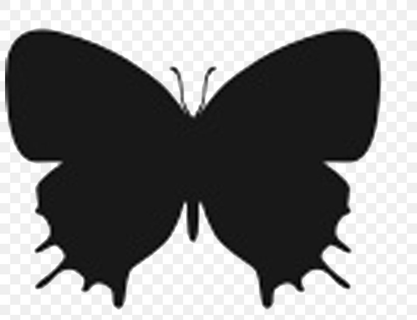 Butterfly Insect Silhouette Stencil, PNG, 799x630px, Butterfly, Art, Arthropod, Black, Black And White Download Free