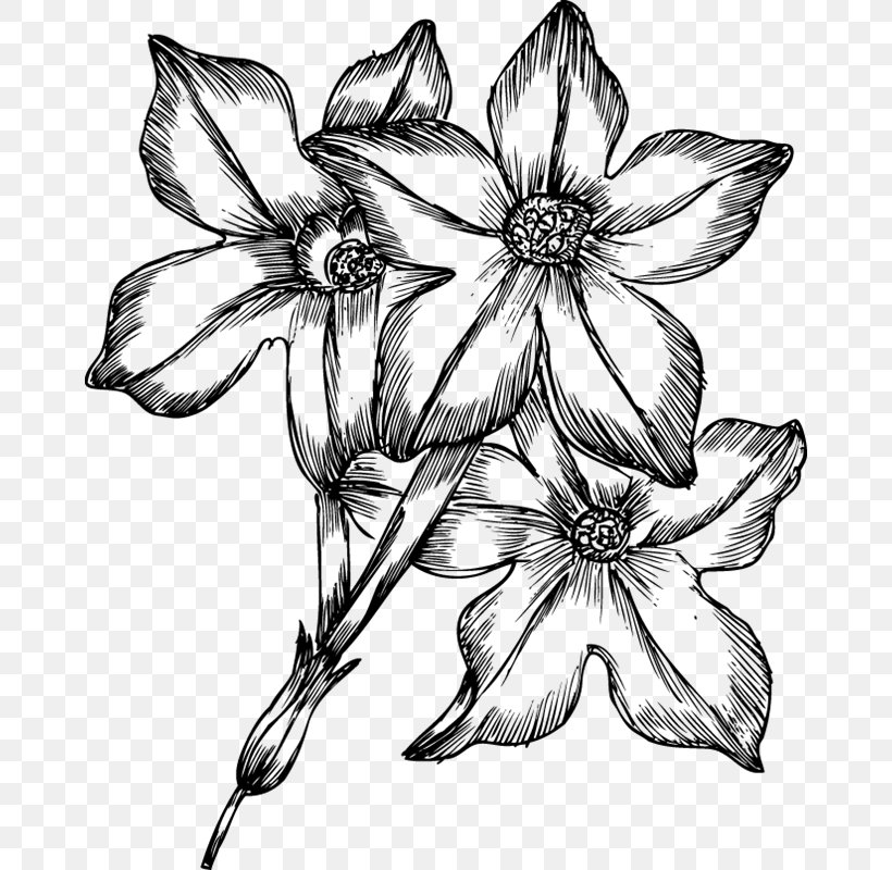 Drawing Flower Clip Art, PNG, 664x800px, Drawing, Art, Artwork, Black And White, Branch Download Free