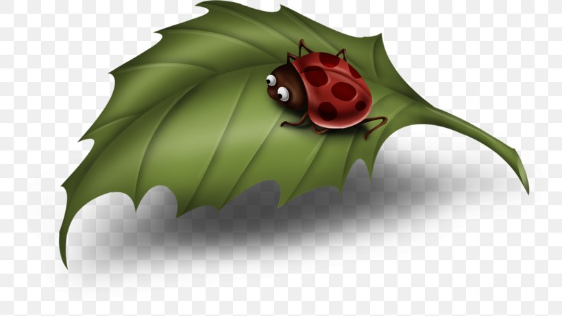 Leaf Ladybird Clip Art, PNG, 796x462px, Leaf, Animal, Animation, Autumn Leaf Color, Cartoon Download Free
