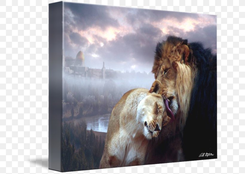 Lion Stock Photography Art Wildlife, PNG, 650x583px, Lion, Art, Big Cats, Carnivoran, Cat Like Mammal Download Free
