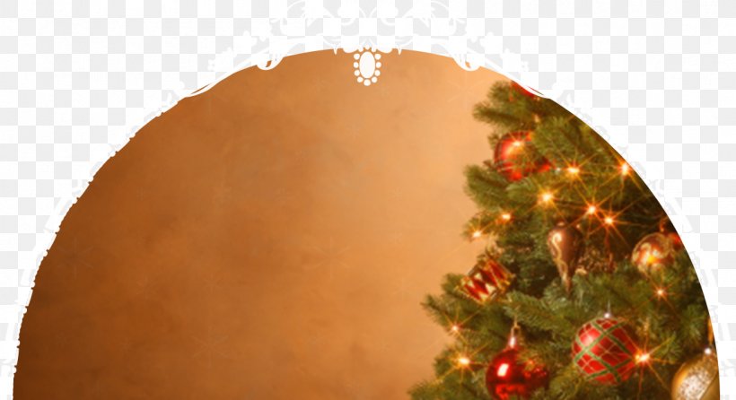 Christmas Tree O Tannenbaum Gift, PNG, 1149x625px, Christmas Tree, Christmas, Christmas Decoration, Christmas Lights, Christmas Ornament Download Free