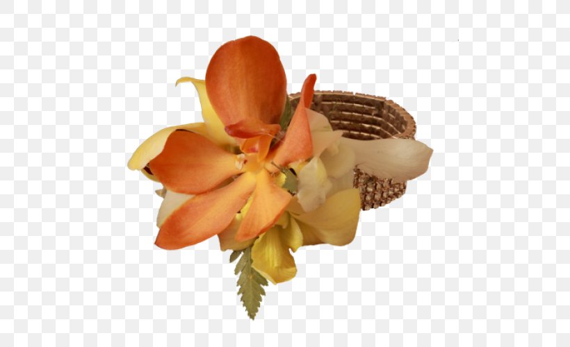Cut Flowers Petal, PNG, 500x500px, Cut Flowers, Flower, Orange, Petal Download Free