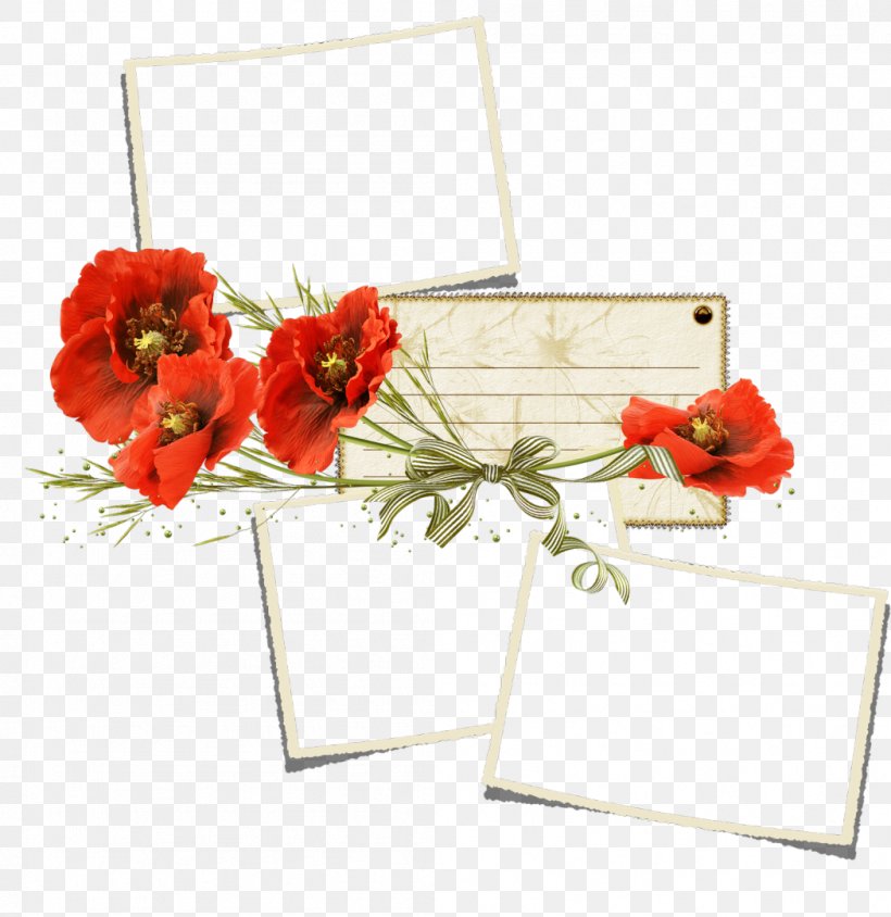 Flowers Background, PNG, 1049x1080px, Poppy, Coquelicot, Cut Flowers, Drawing, Flower Download Free
