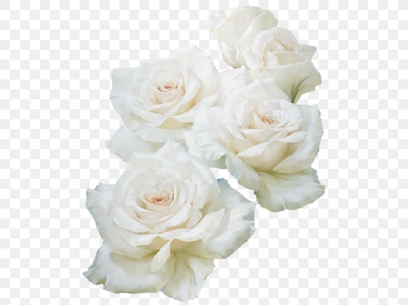 Blue Rose White, PNG, 500x614px, Blue Rose, Artificial Flower, Blue, Color, Cut Flowers Download Free