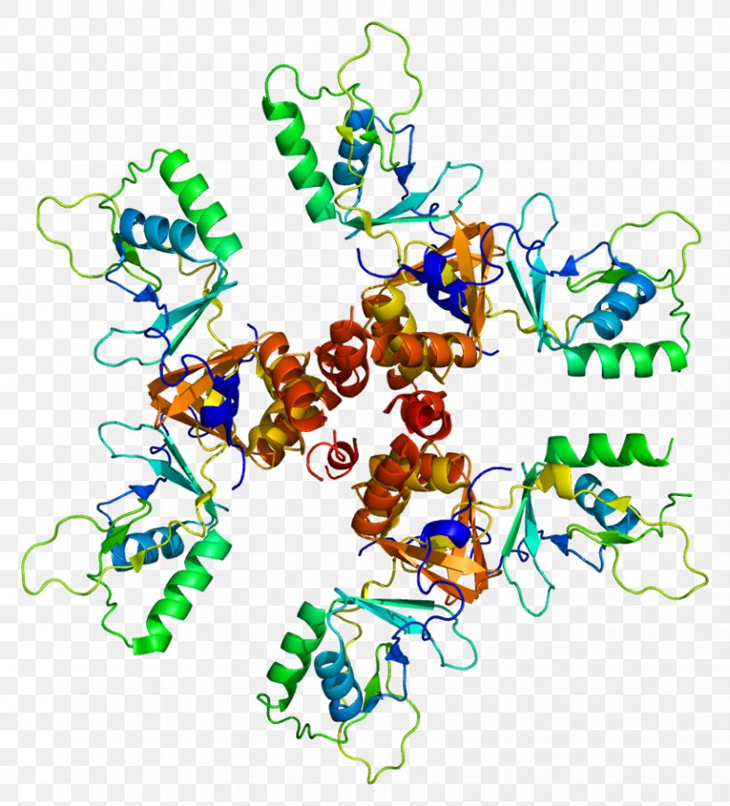 CLCN5 Chloride Channel Gene Membrane Transport Protein, PNG, 855x944px, Chloride Channel, Animal Figure, Antiporter, Area, Art Download Free