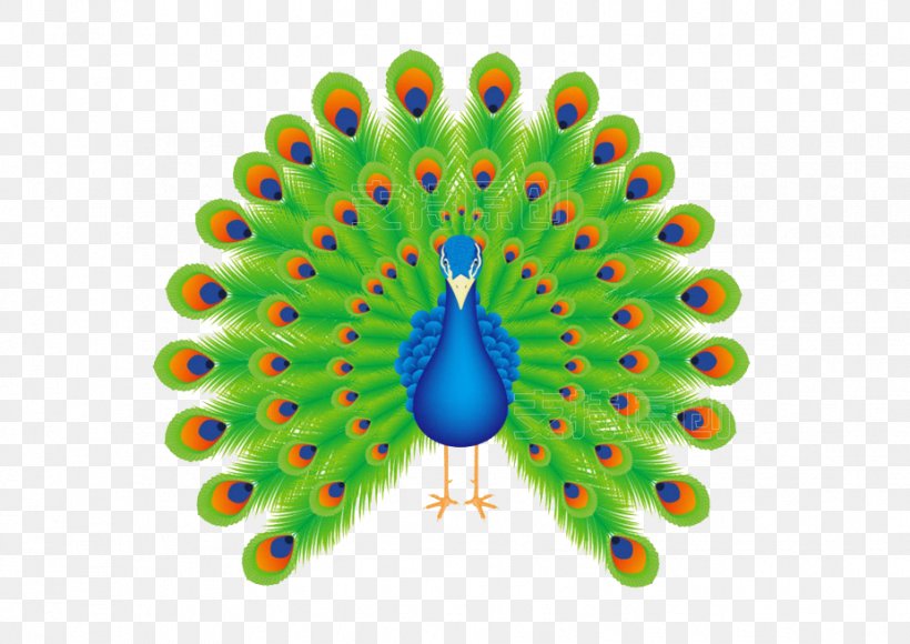 Bird Peafowl Clip Art, PNG, 926x655px, Bird, Animation, Art, Cartoon,  Galliformes Download Free