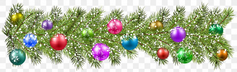 Christmas New Year Clip Art, PNG, 1600x490px, Christmas, Branch, Christmas Ornament, Christmas Tree, Flora Download Free