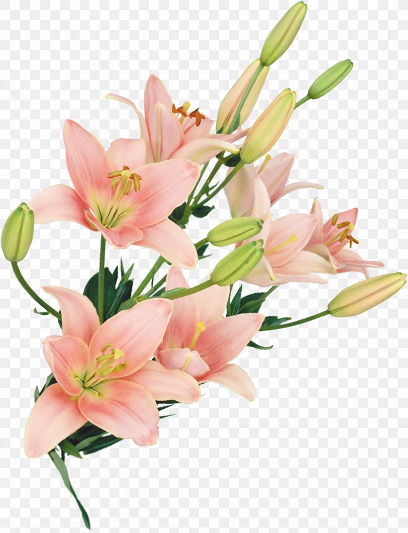 Cut Flowers Floral Design Flower Bouquet Floristry, PNG, 918x1200px, Flower, Alstroemeriaceae, Art, Cut Flowers, Floral Design Download Free